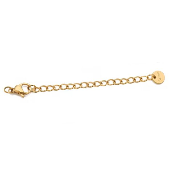 RVS verlengketting 5cm Goud met ronde tag inclusief karabijnslot